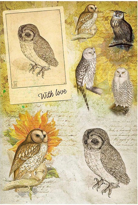 Owls Rice Paper