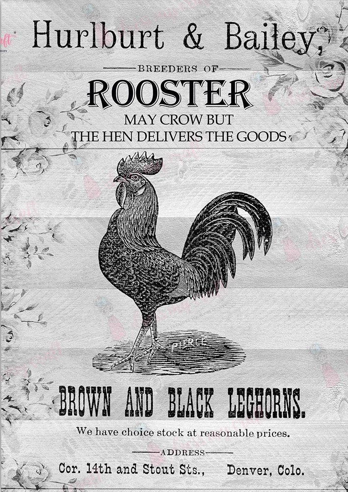 The Rooster - Wet Transfer