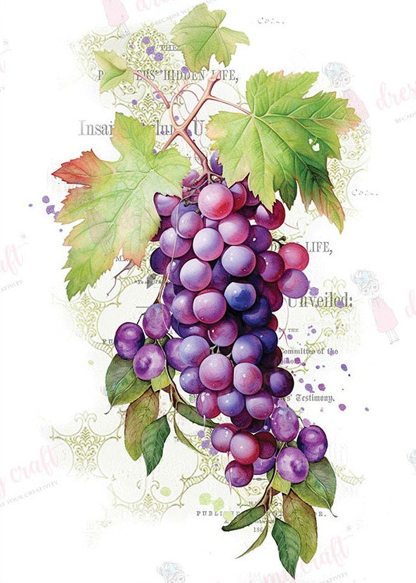 Wine Grapes  - Mini Wet Transfer