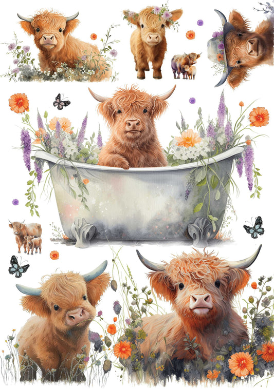 Highland Calf Rice Paper