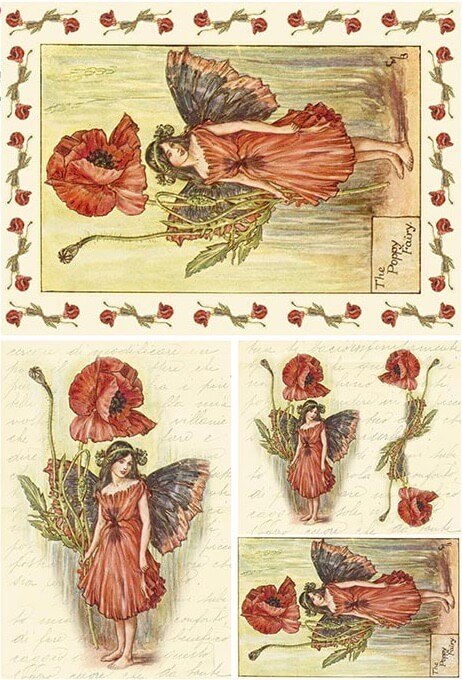 Faire with Poppy Rice Paper – EE Wholesale