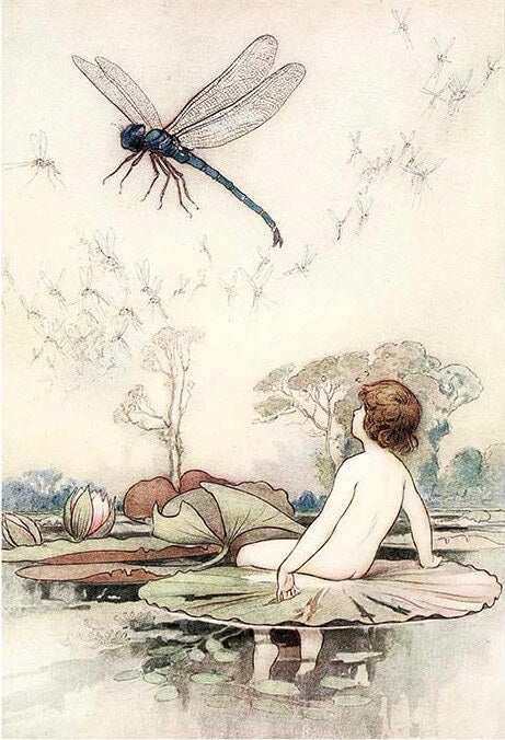 Child with Dragonfly Rice Paper