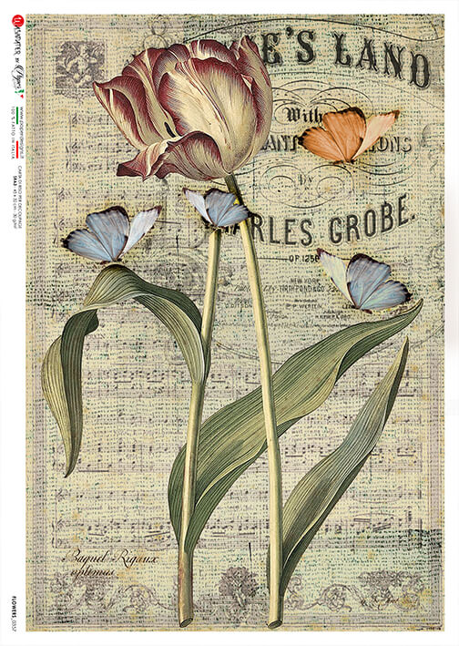 Tulip on Music Notes Rice Paper