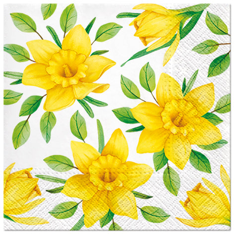 Daffodils In Bloom Cocktail Napkins