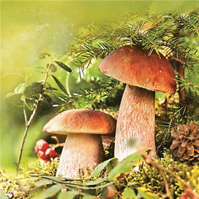 Boletus Forest Luncheon Napkins