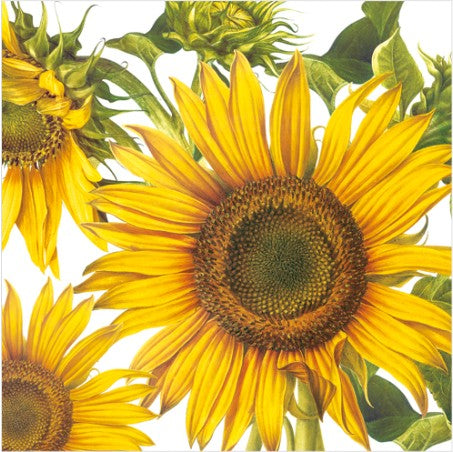 The Last Sun Sunflower Luncheon Napkins